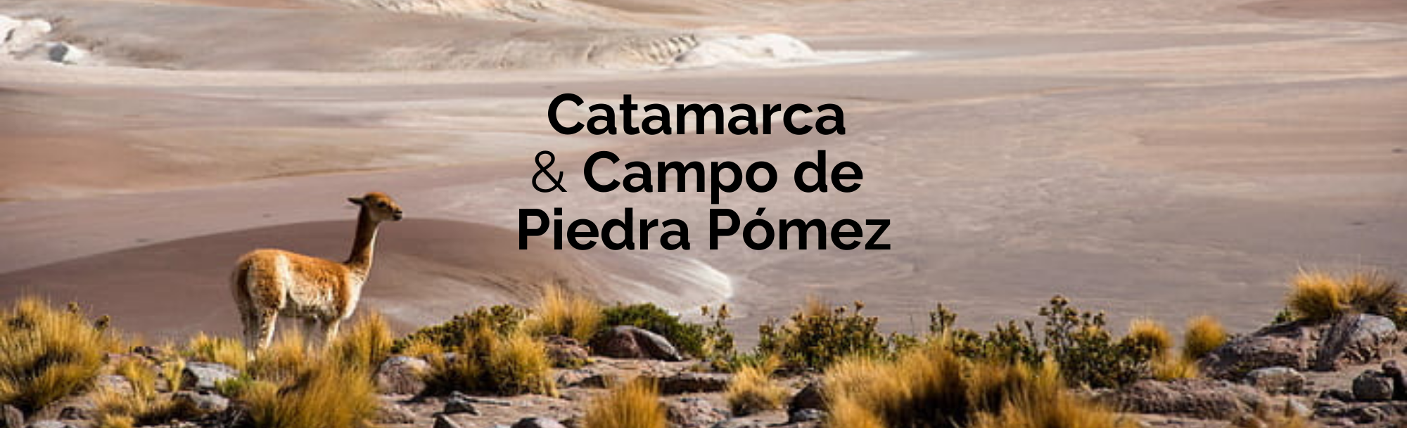 Catamarca Inédita y Campo de Piedra Pómez