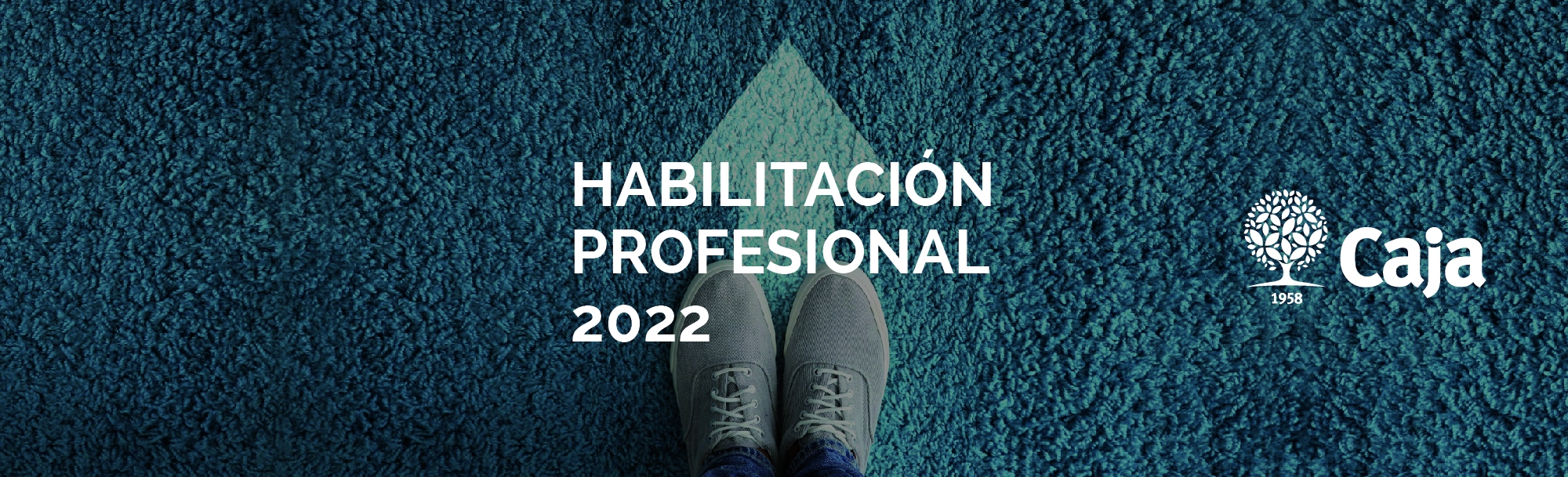 Habilitación Profesional 2022